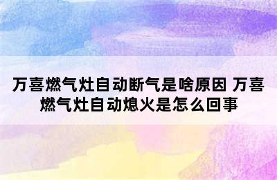 万喜燃气灶自动断气是啥原因 万喜燃气灶自动熄火是怎么回事